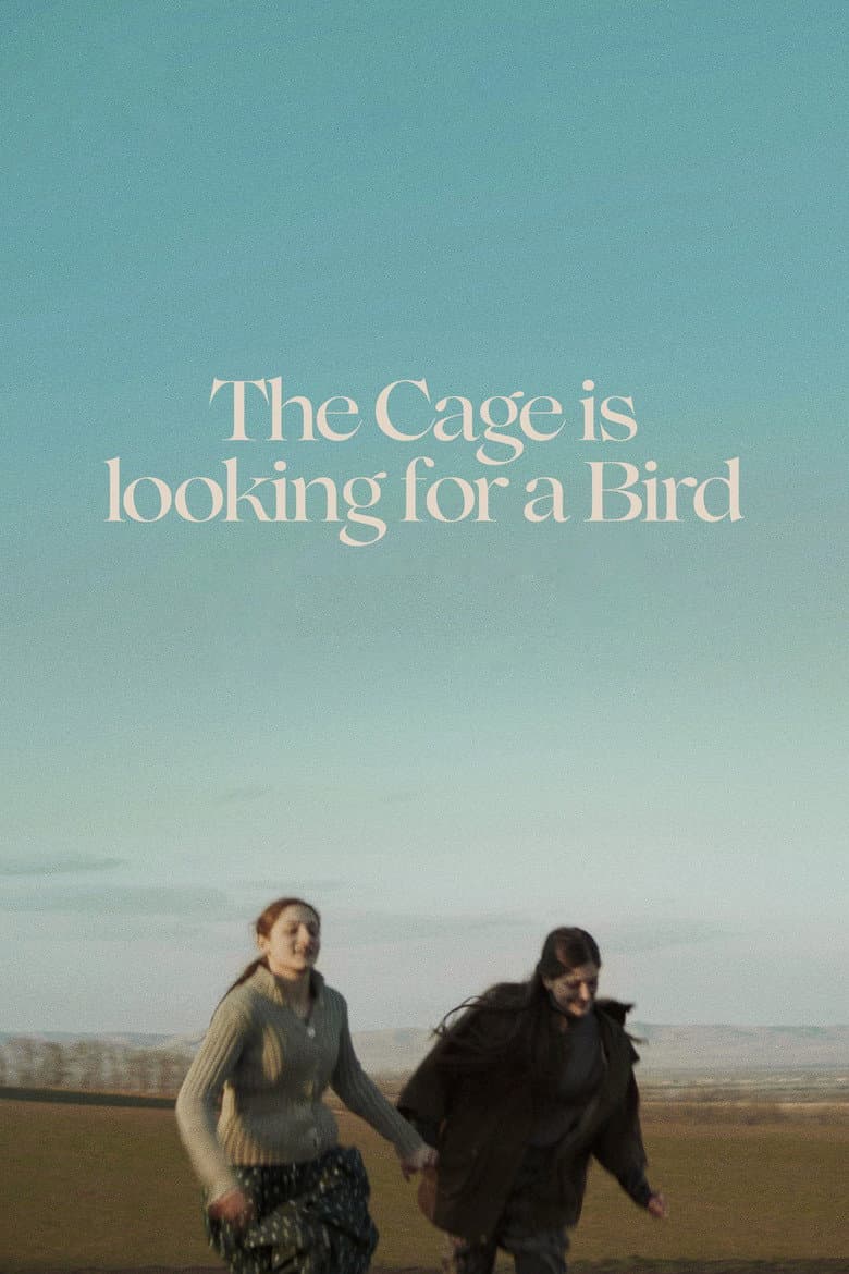 The Cage is Looking for a Bird poster