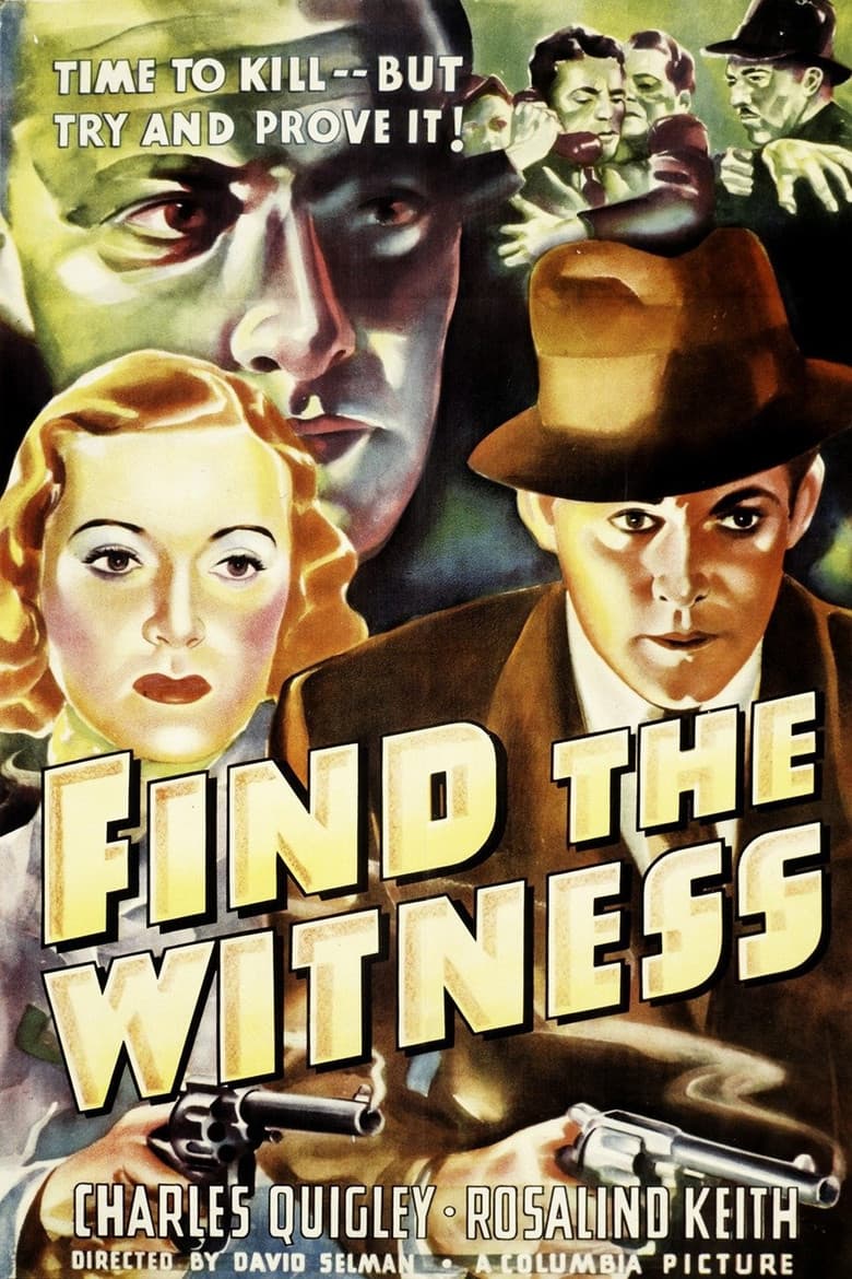 Find the Witness poster