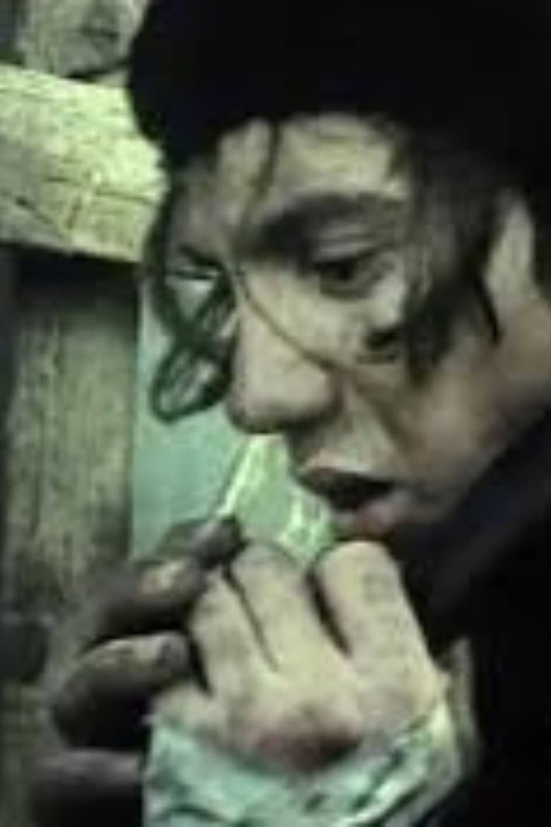 The War is Over poster