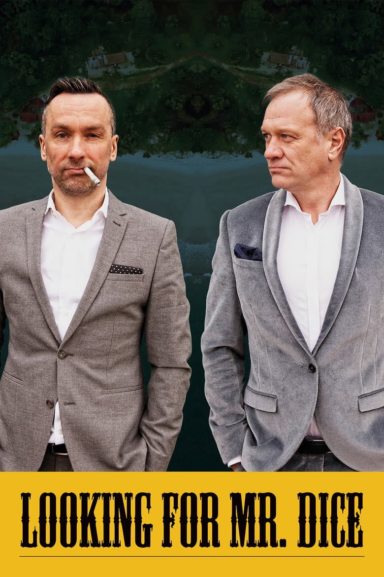 Looking for Mr. Dice poster