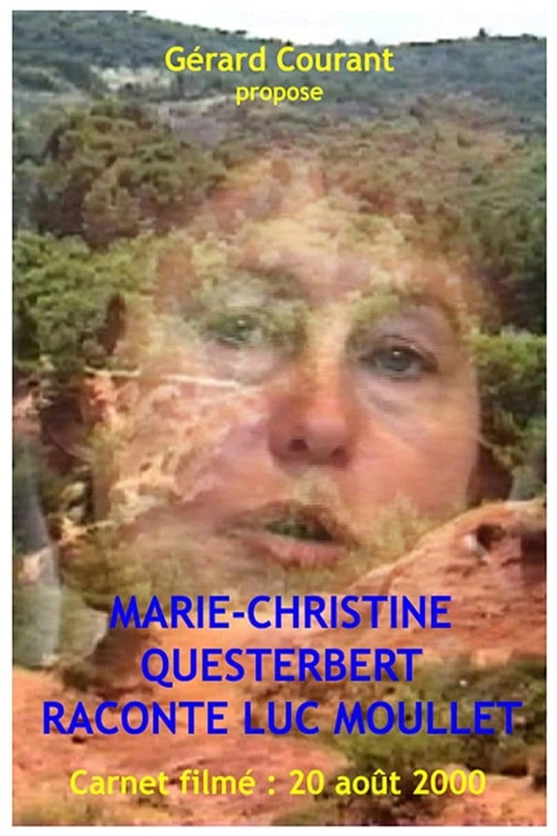 Marie-Christine Questerbert raconte Luc Moullet poster