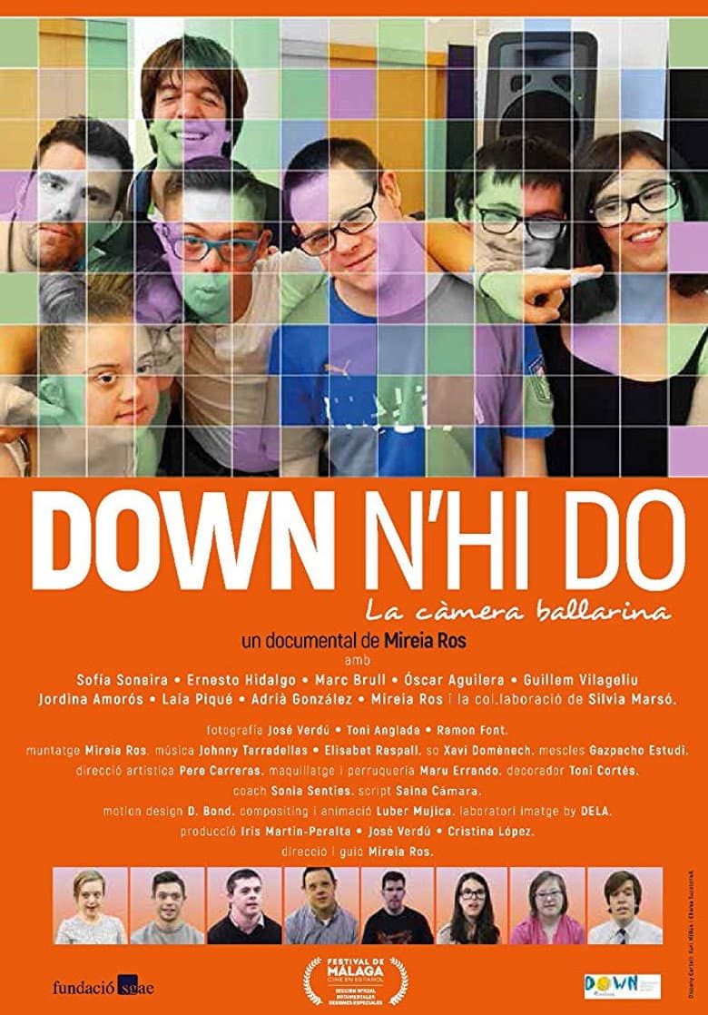 Down n'hi do - La càmera ballarina poster
