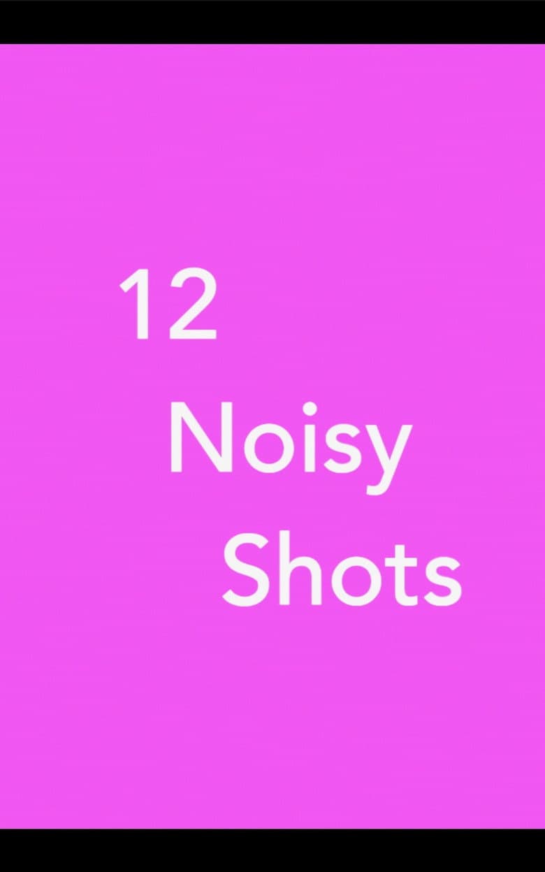 12 Noisy Shots poster