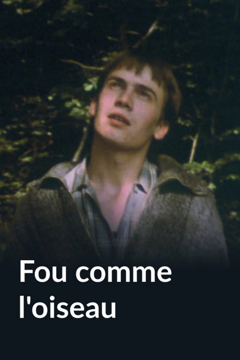 Fou comme l'oiseau poster