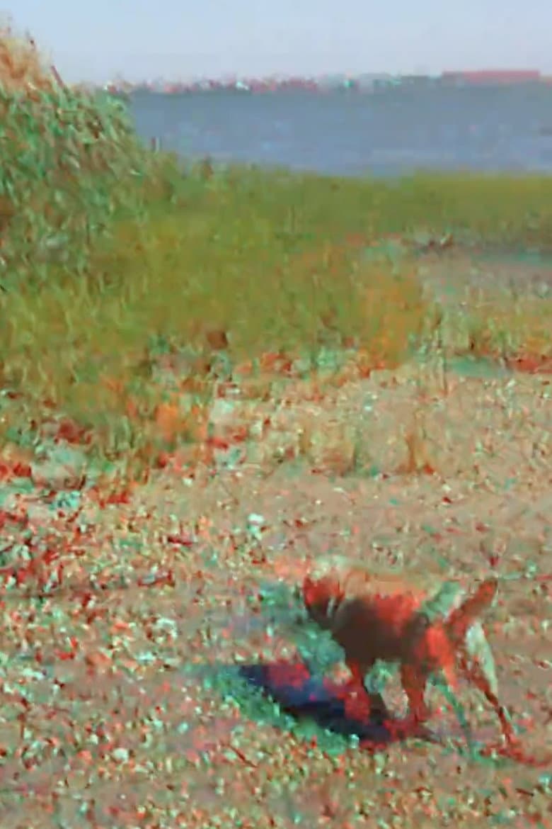 Batchellor’s Dog and Beach poster