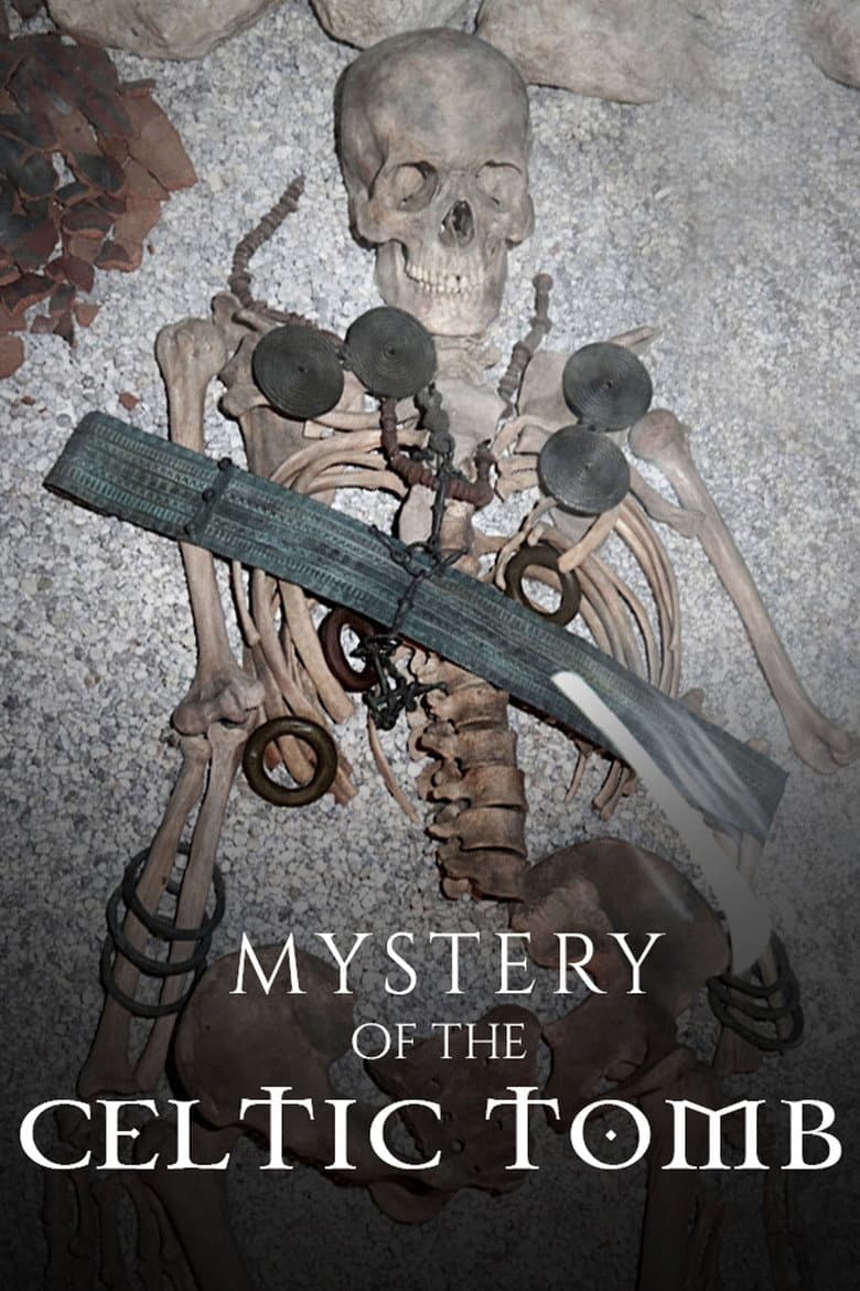 Mystery of the Celtic Tomb poster