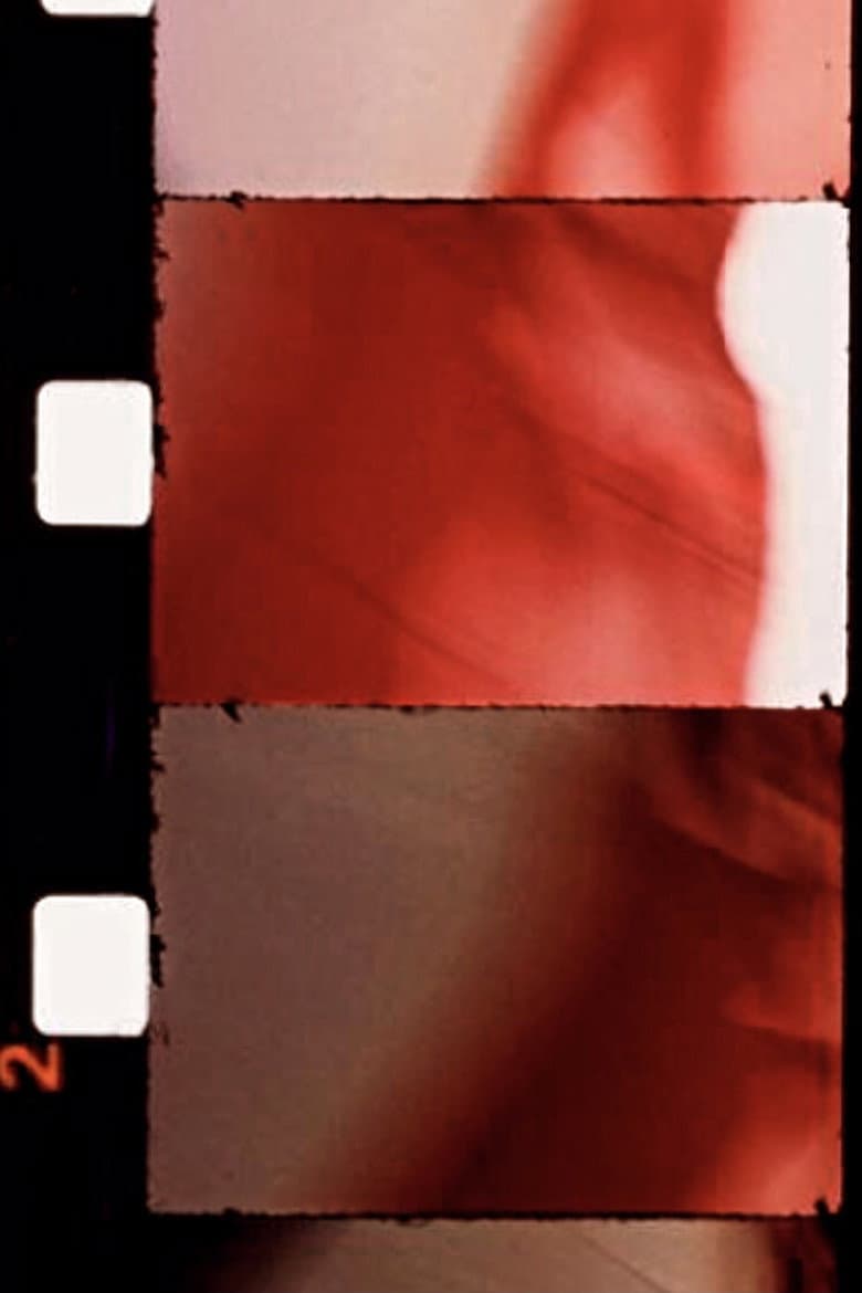 Le Drapeau de l'étoile poster