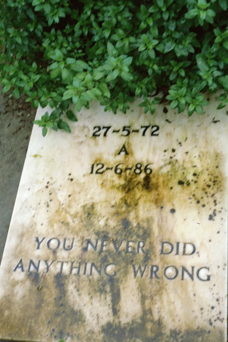 You never did anything wrong poster
