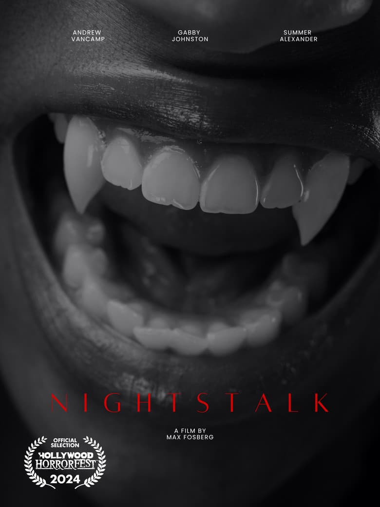 Nightstalk poster