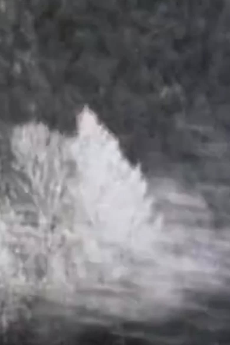 Chronographies poster