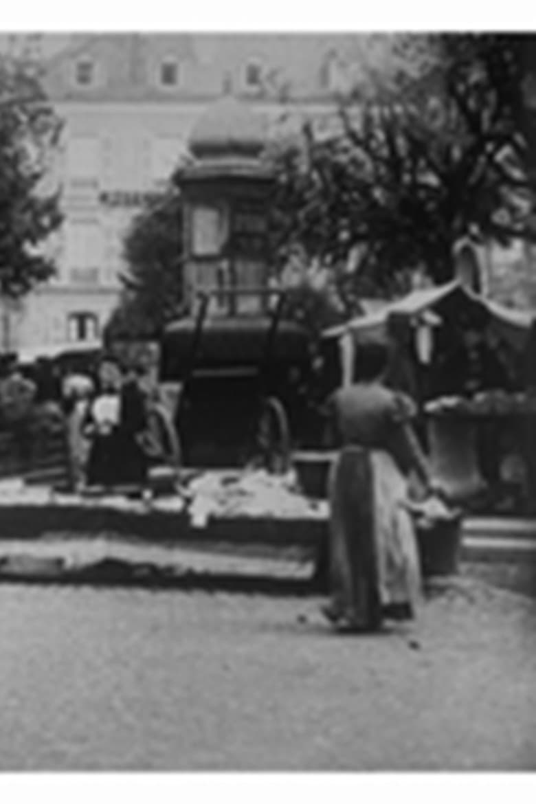 Pau : la place du marché poster