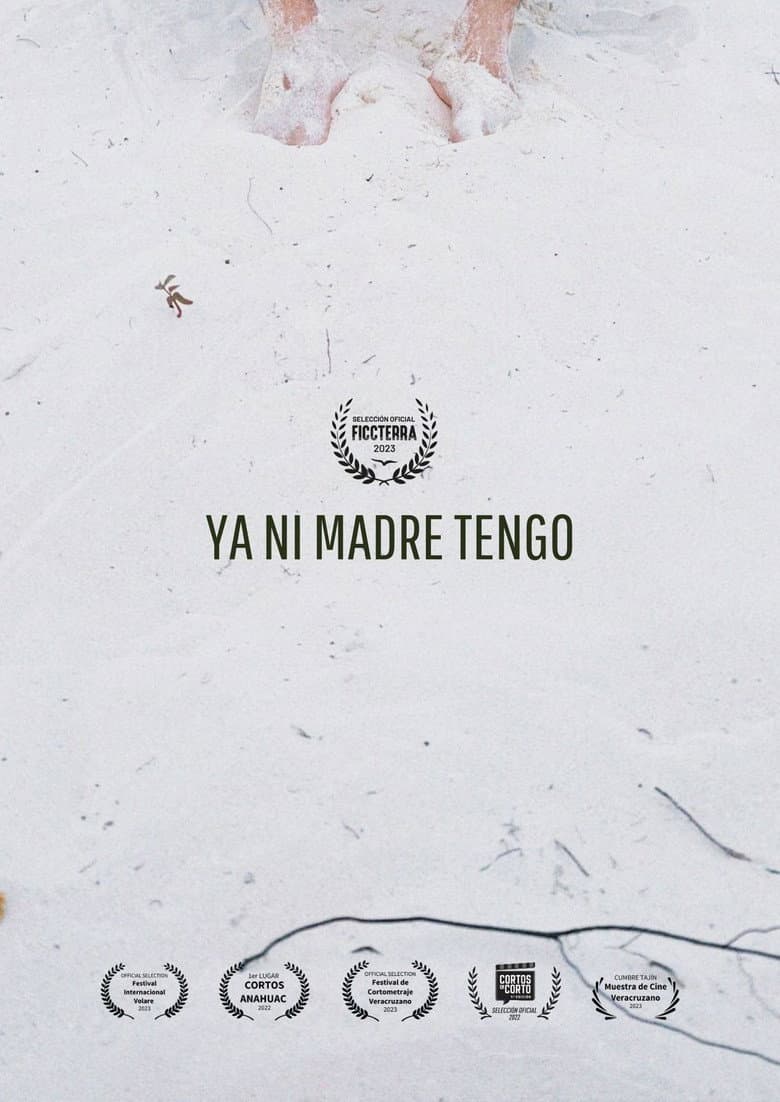 Ya Ni Madre Tengo poster