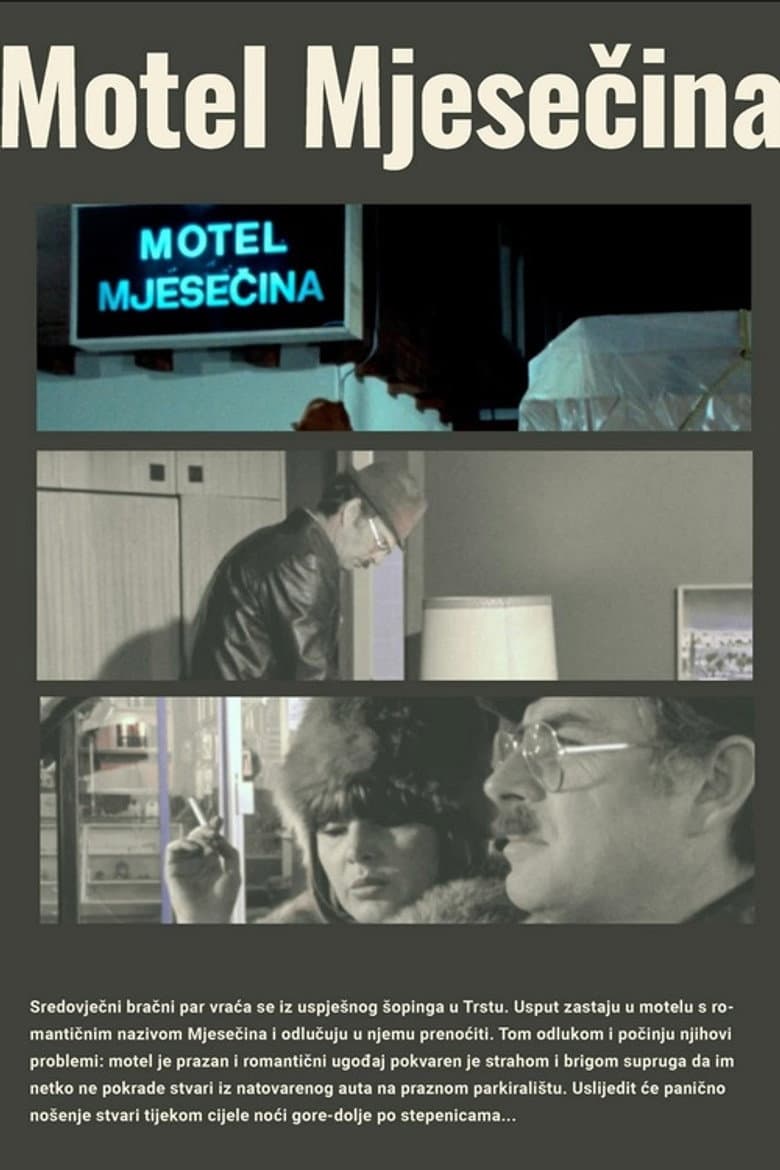 Motel Moonlight poster