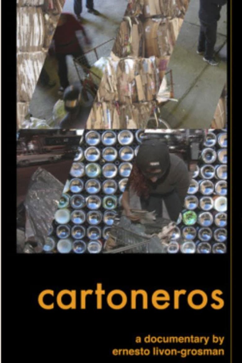 Cartoneros poster