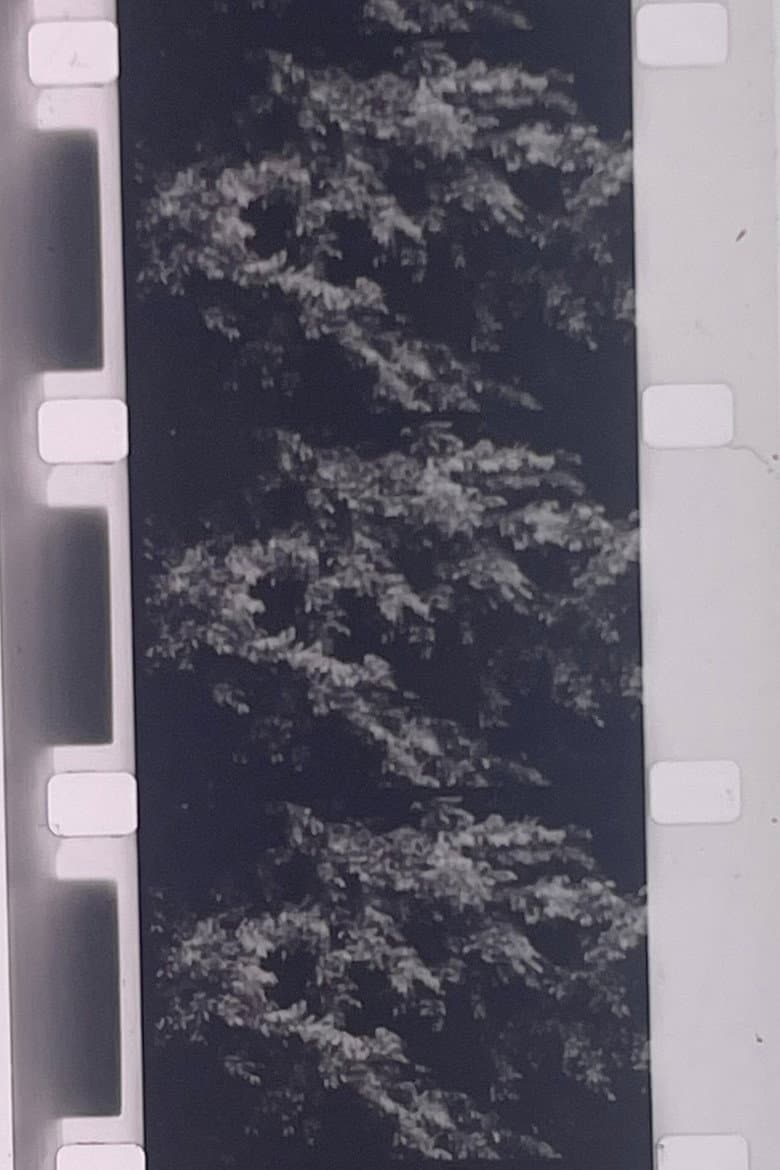 Plotting the Grey Scale: 2 or 3 Quick Traverses poster