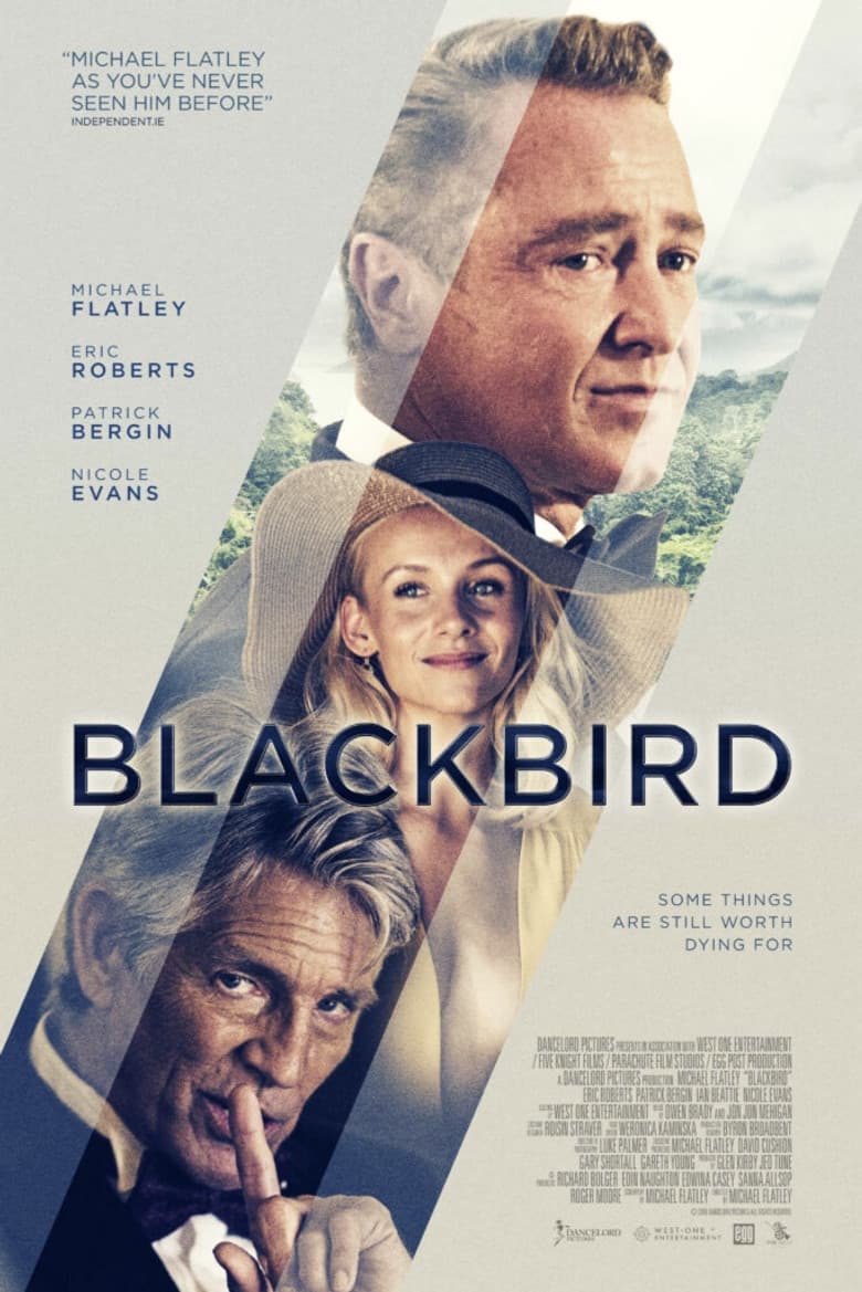 Blackbird poster