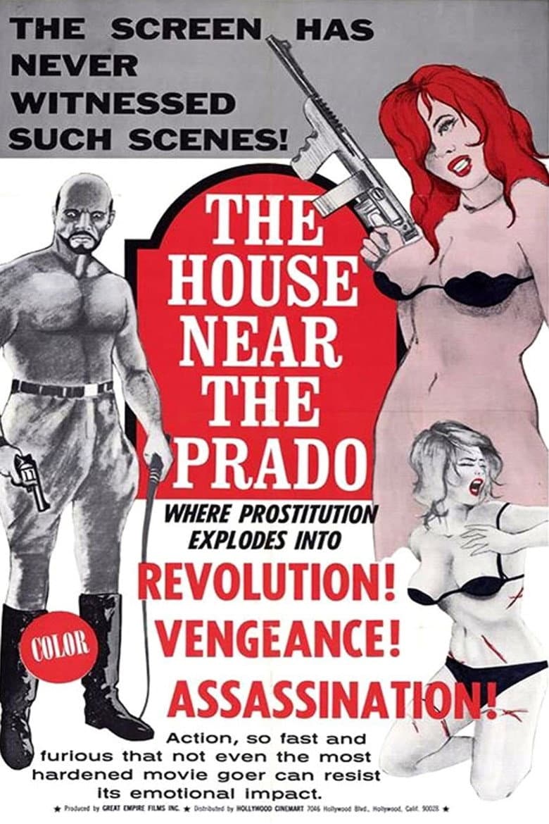 The House Near the Prado poster