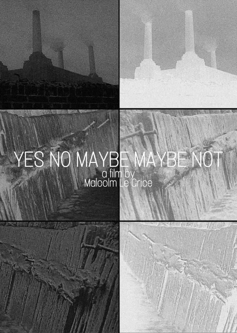 Yes No Maybe Maybe Not poster