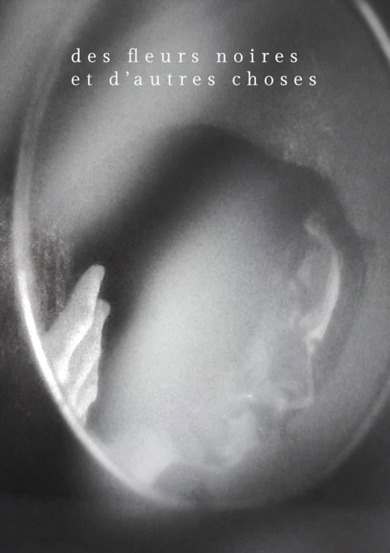 Des fleurs noires et d'autres choses poster
