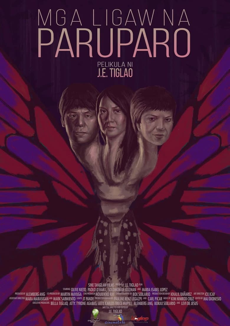 Wandering Butterflies poster