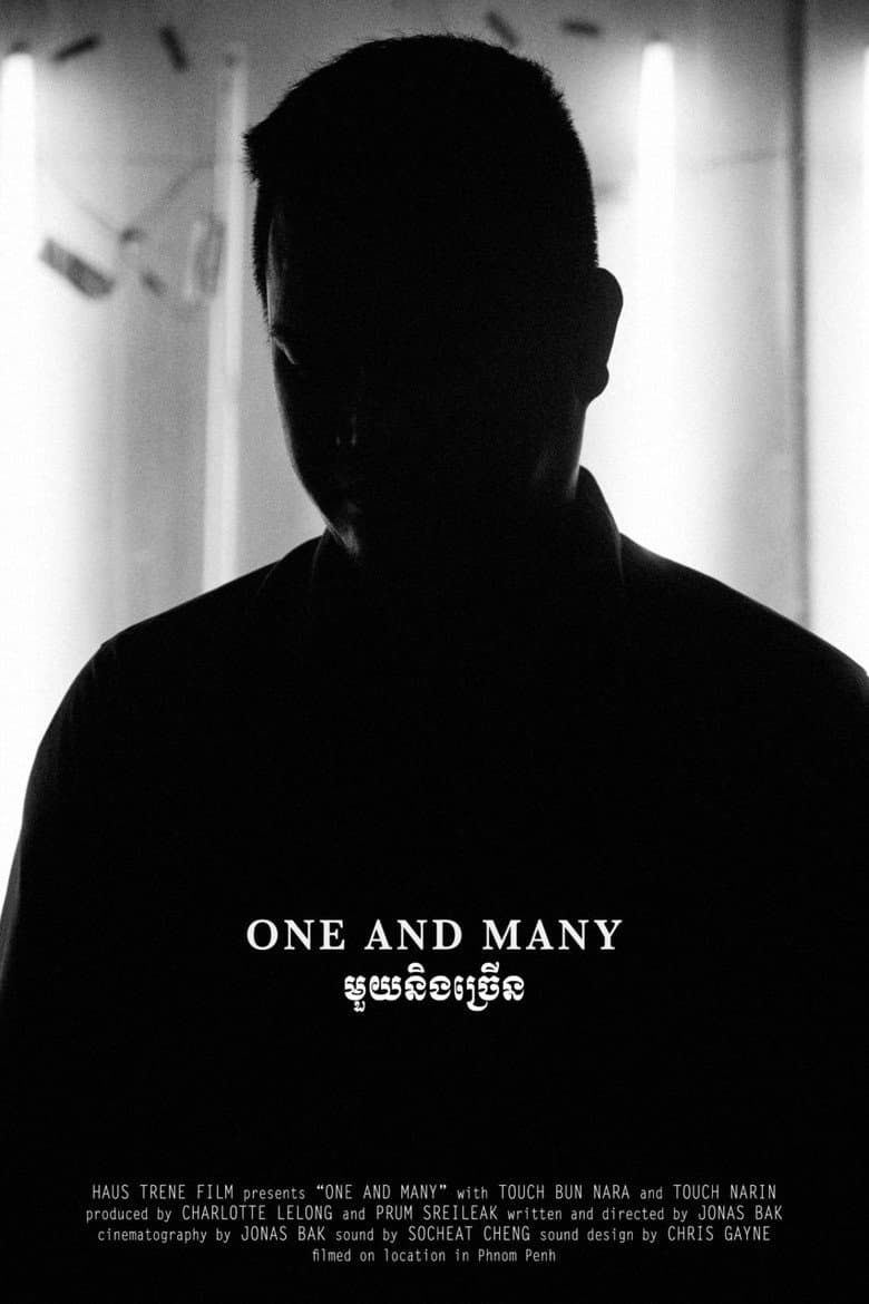 One and Many poster