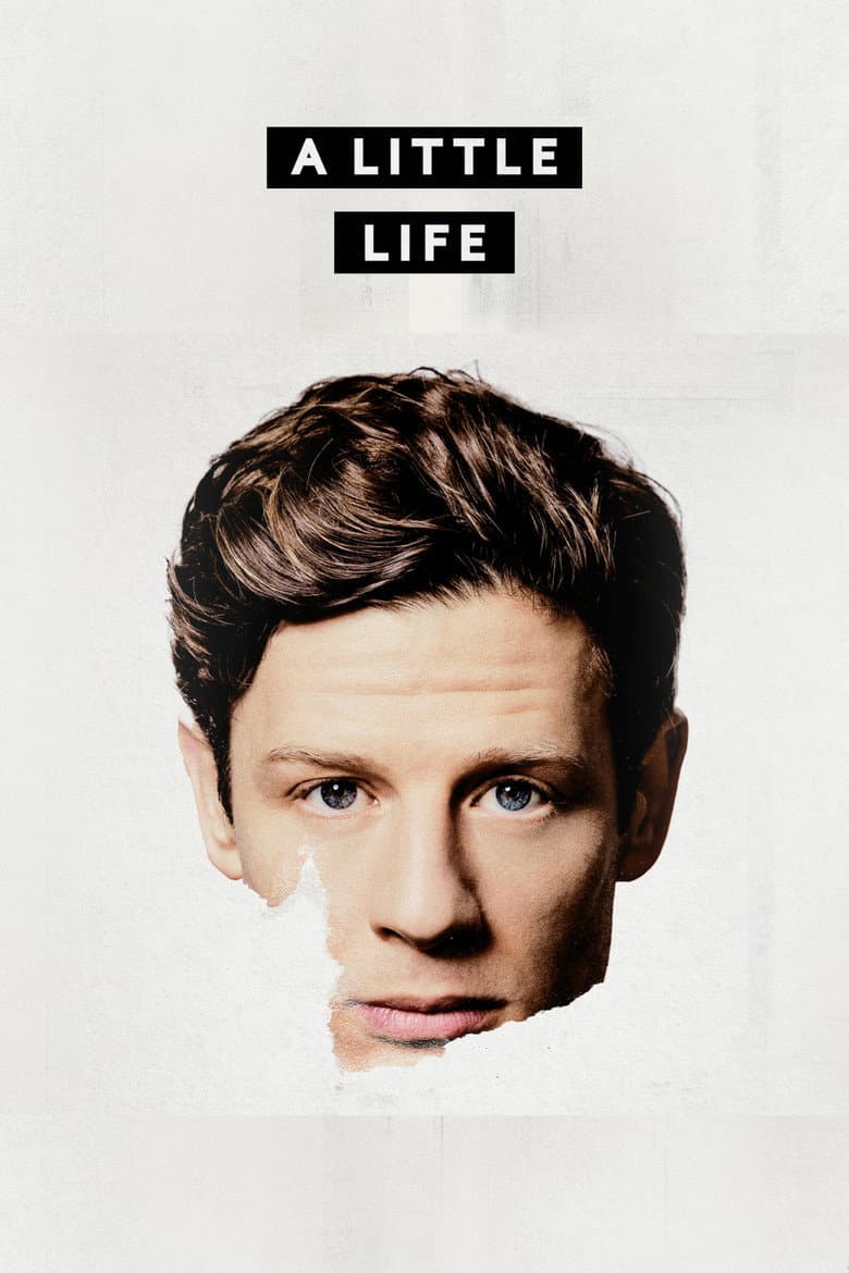 A Little Life poster