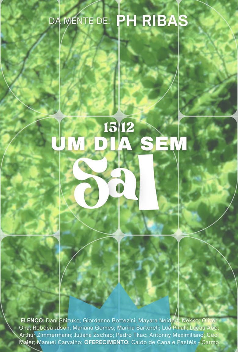 Um Dia Sem Sal poster