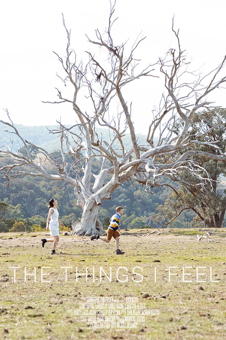 The Things I Feel poster
