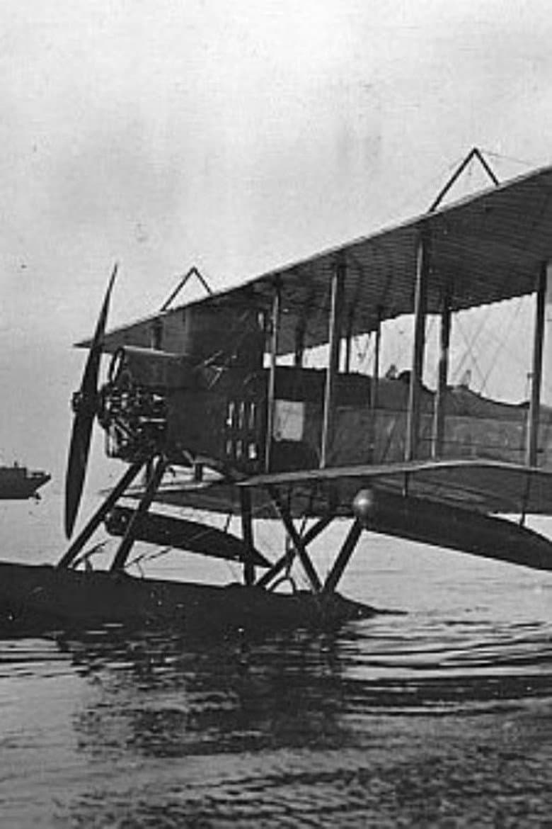 Wings of the Great War poster