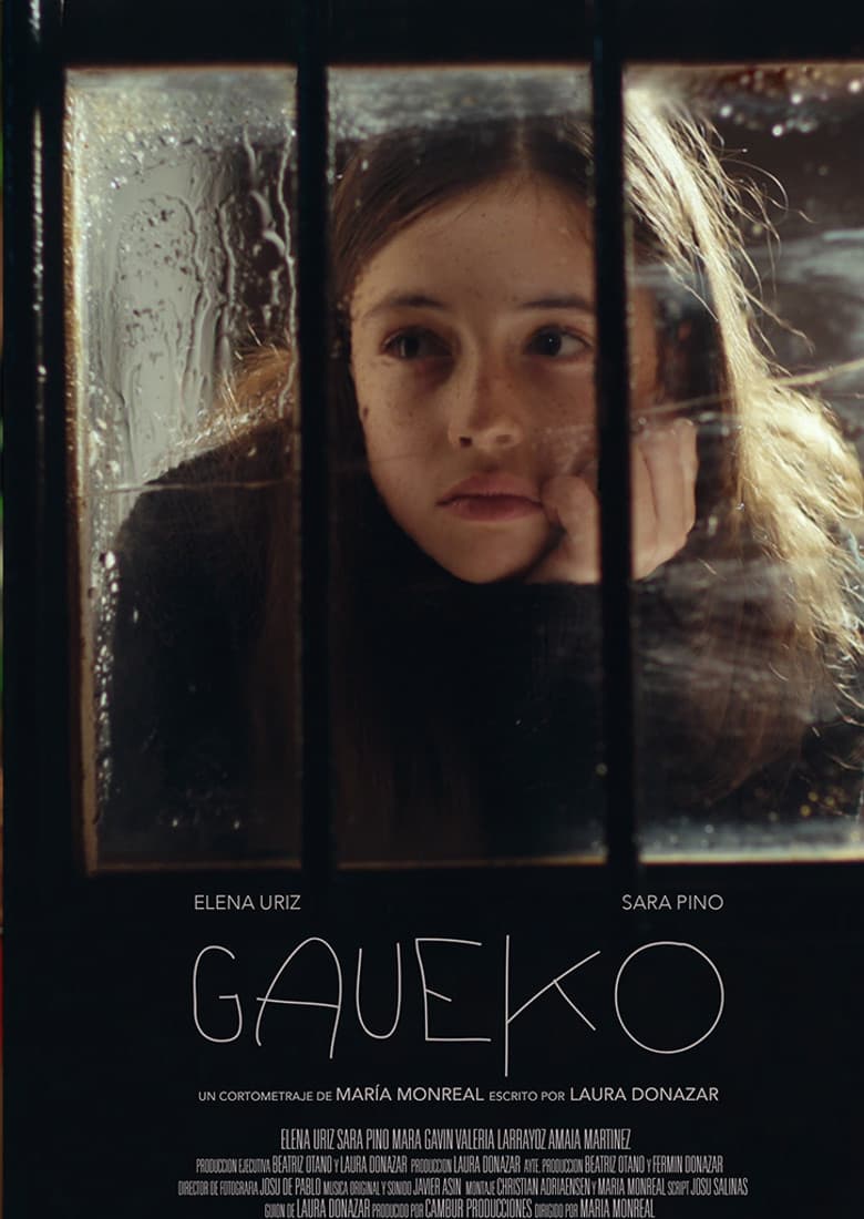 Gaueko poster