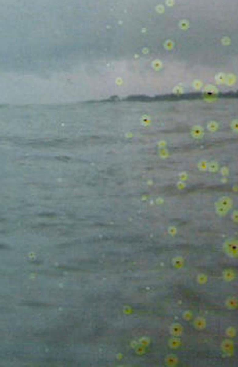 Film for Invisible Ink case no. 71: BASE-PLUS-FOG poster