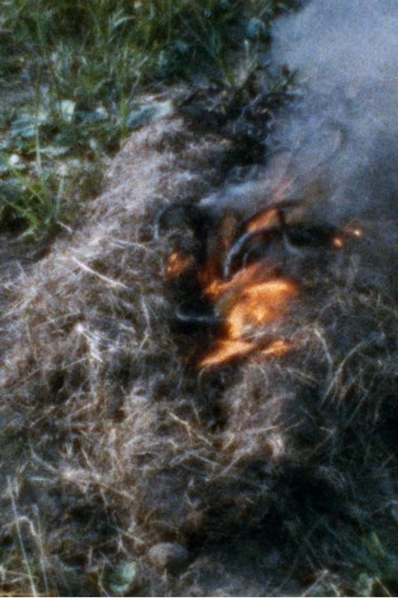 Untitled: 'Silueta' Sequence No. 3 poster