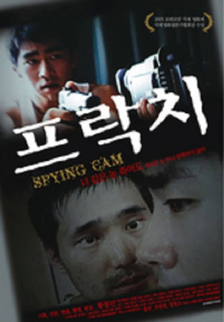 Spying Cam poster