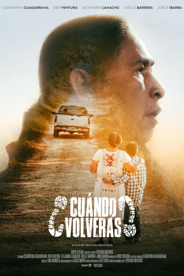 When will you return? poster