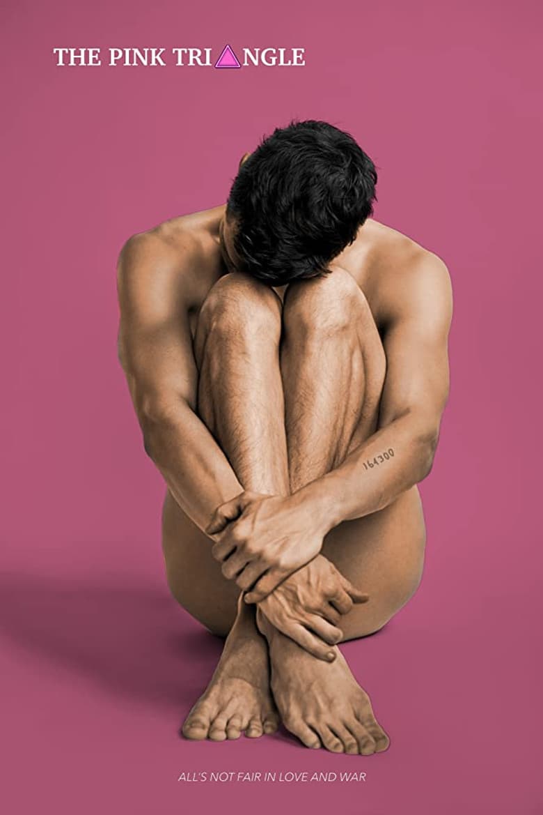 The Pink Triangle poster
