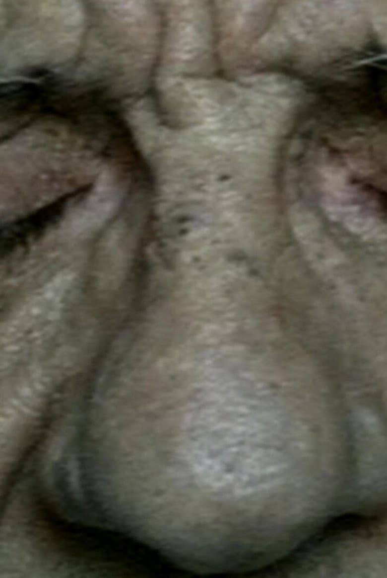 A Prayer for Nettie poster