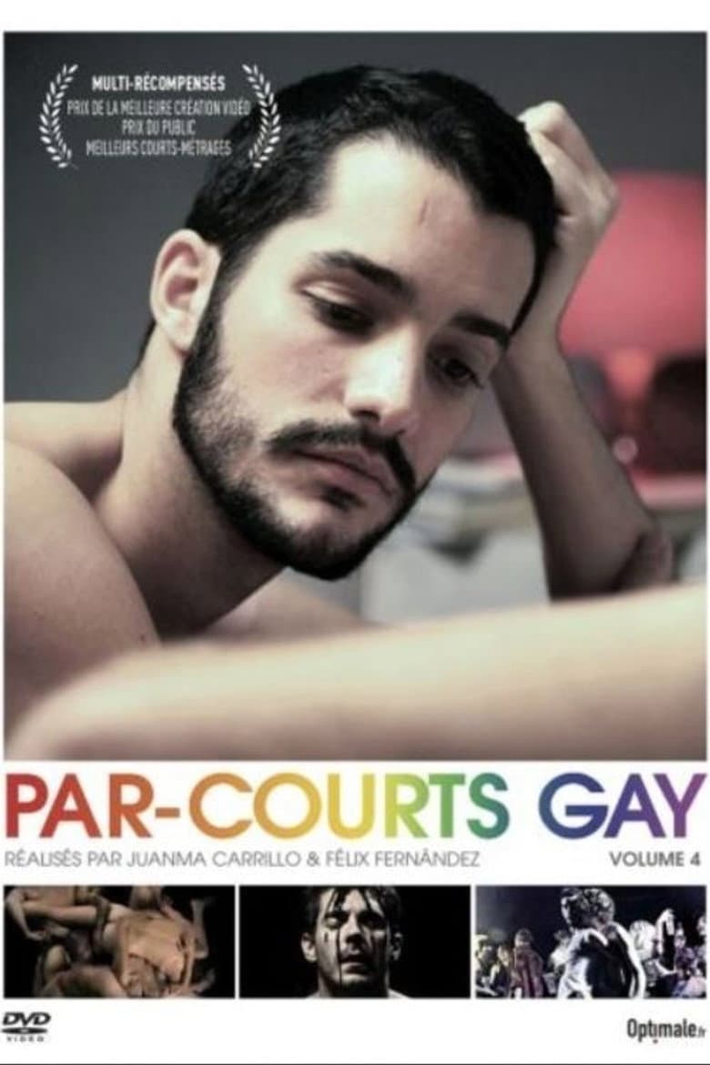 Par-courts Gay, Volume 4 poster