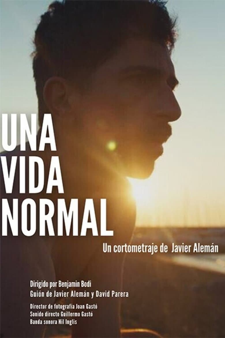 Una vida normal poster