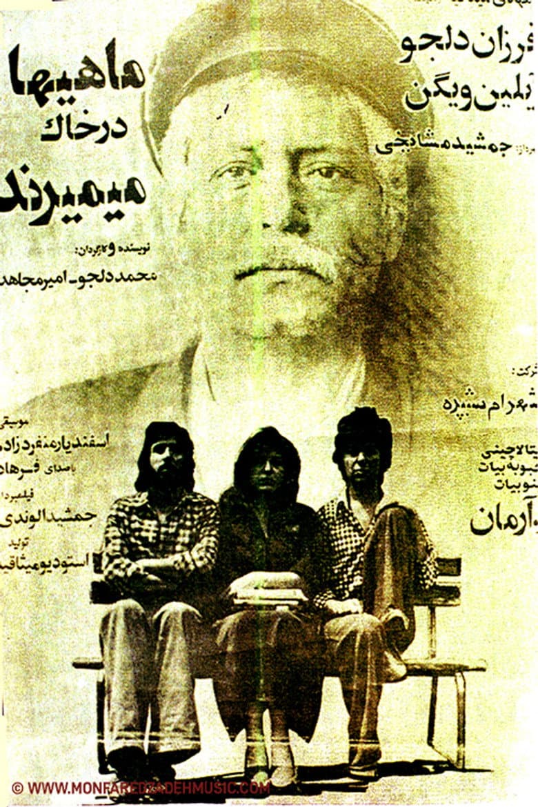 Fish Die in Soil poster