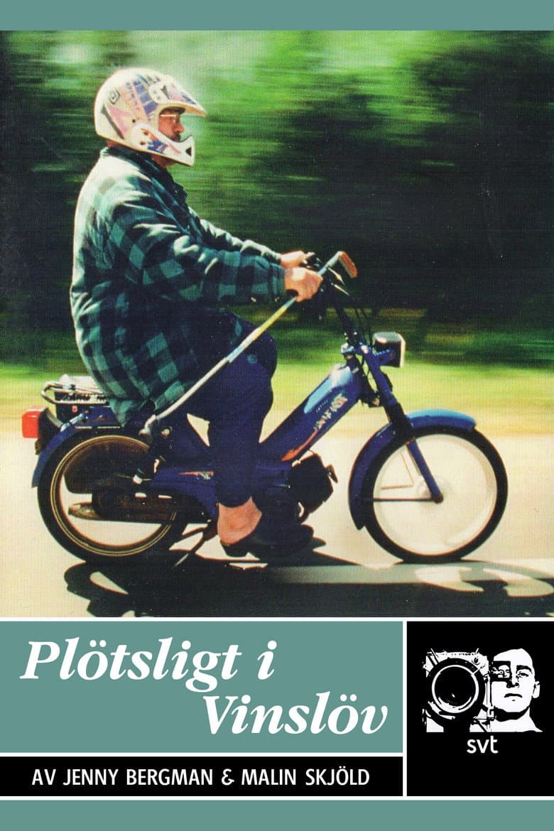 Suddenly in Vinslöv poster