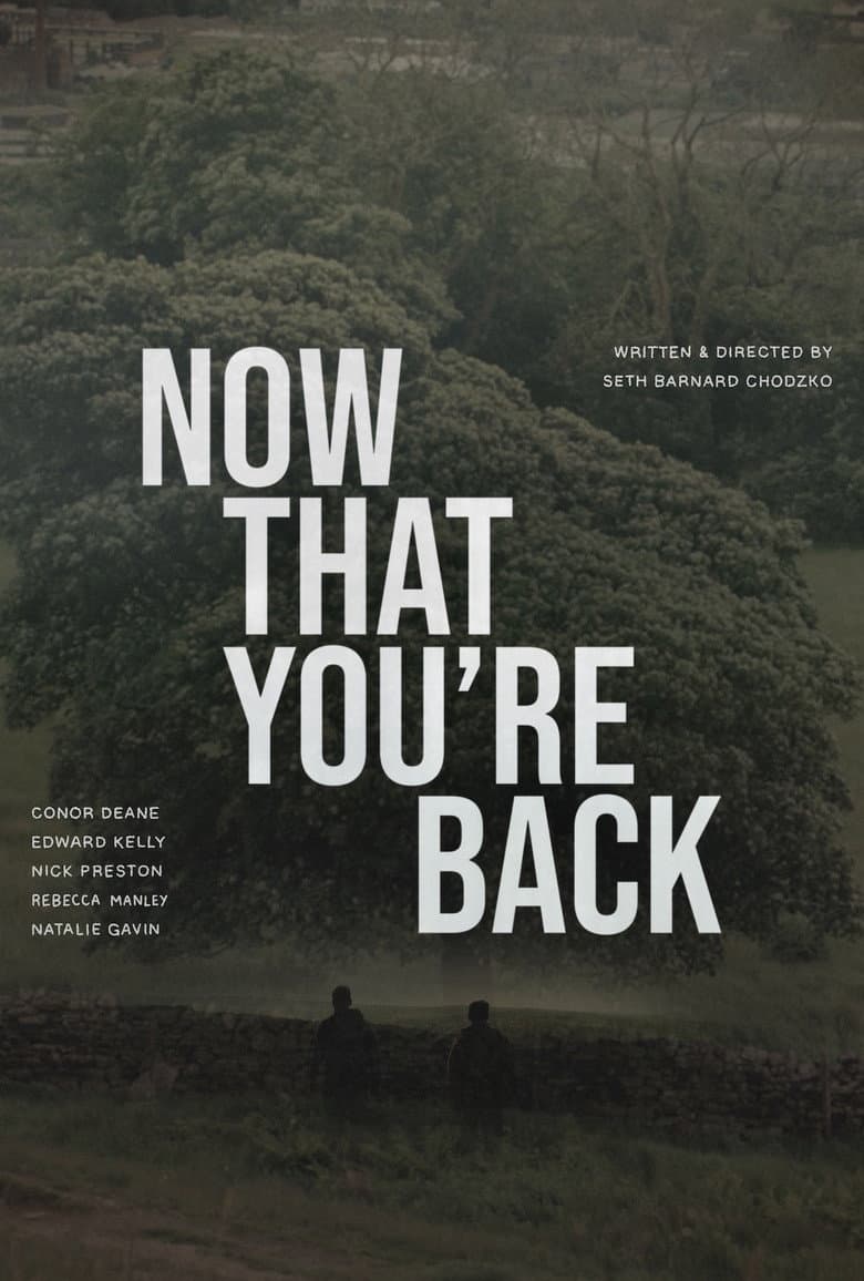 Now That You’re Back poster