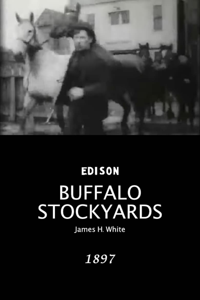 Buffalo Stockyards poster