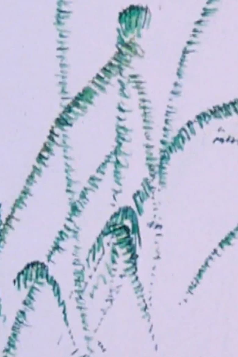 How the Frog’s Eye Sees poster