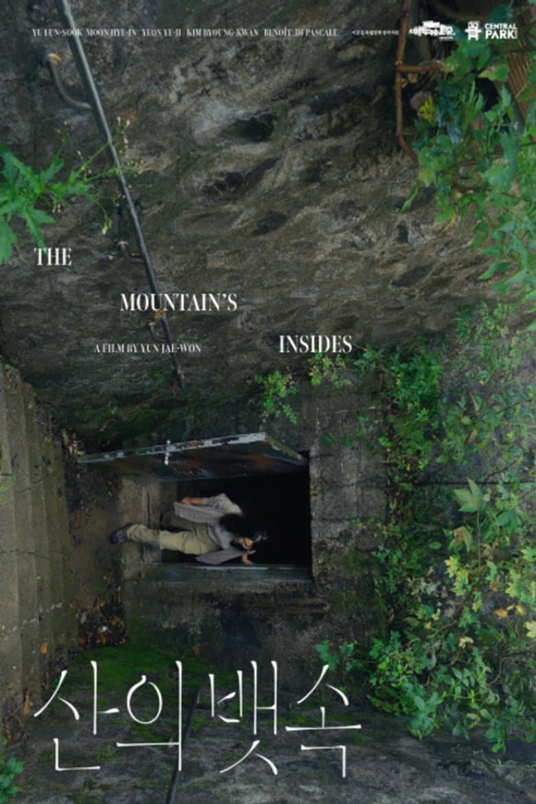 The Mountain’s Insides poster