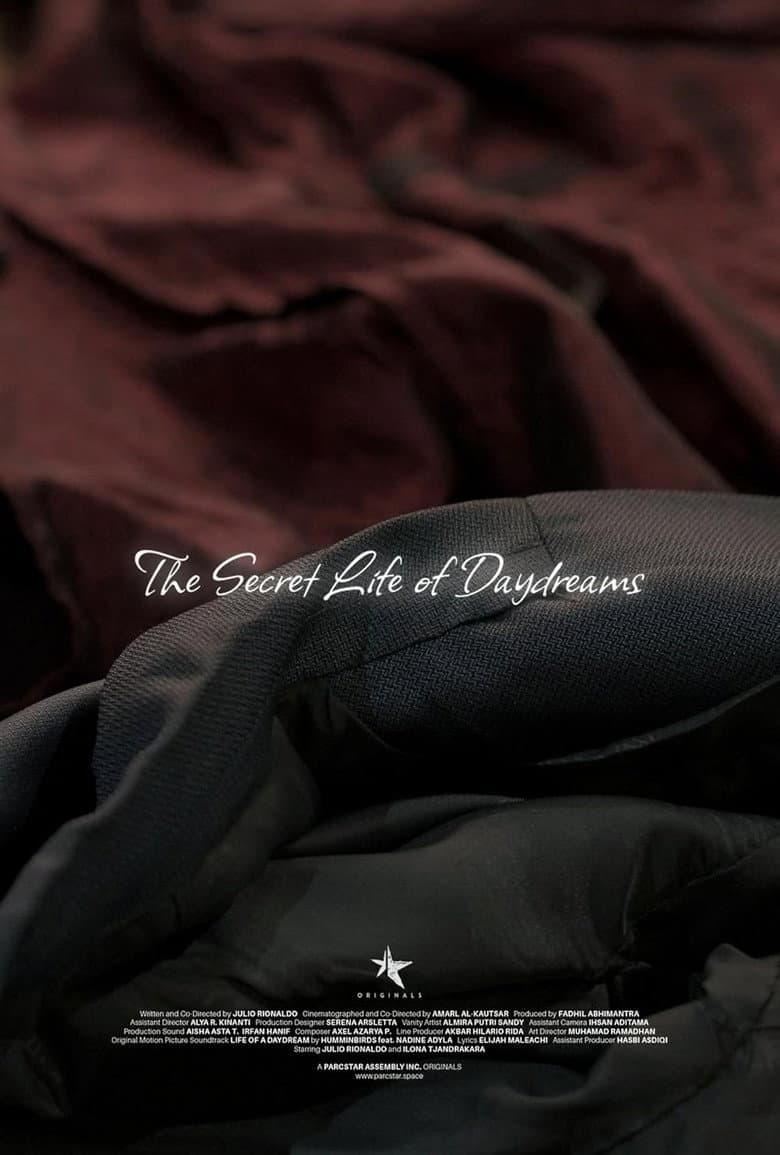 The Secret Life of Daydreams poster