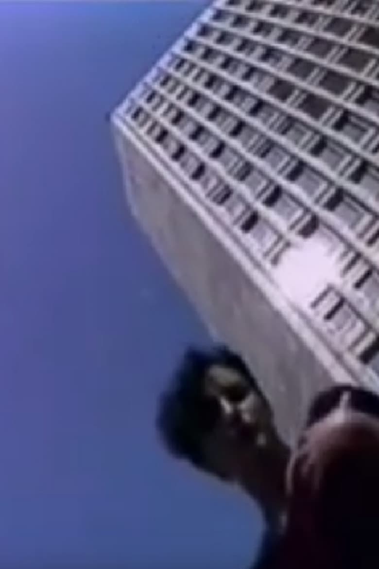 Borghesia: So Young poster