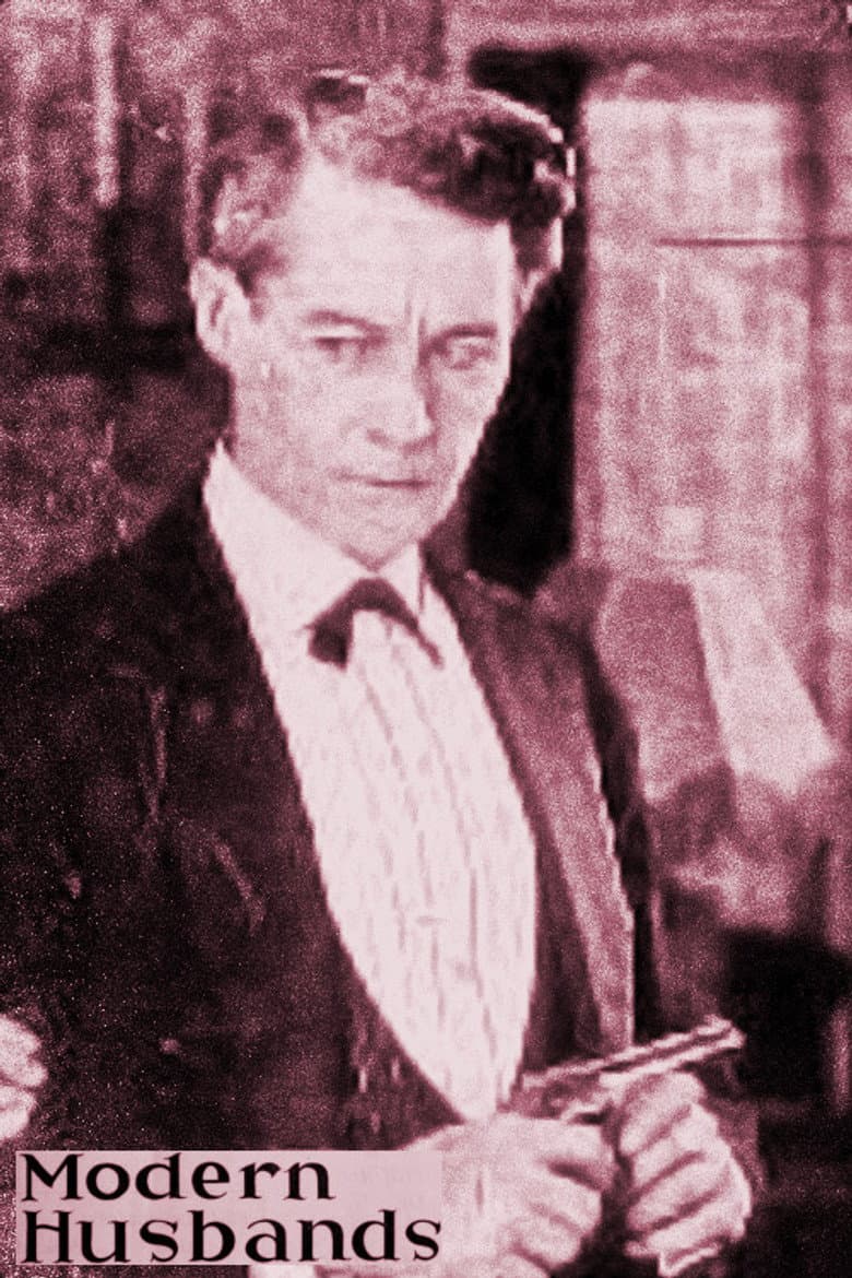 Modern Husbands poster