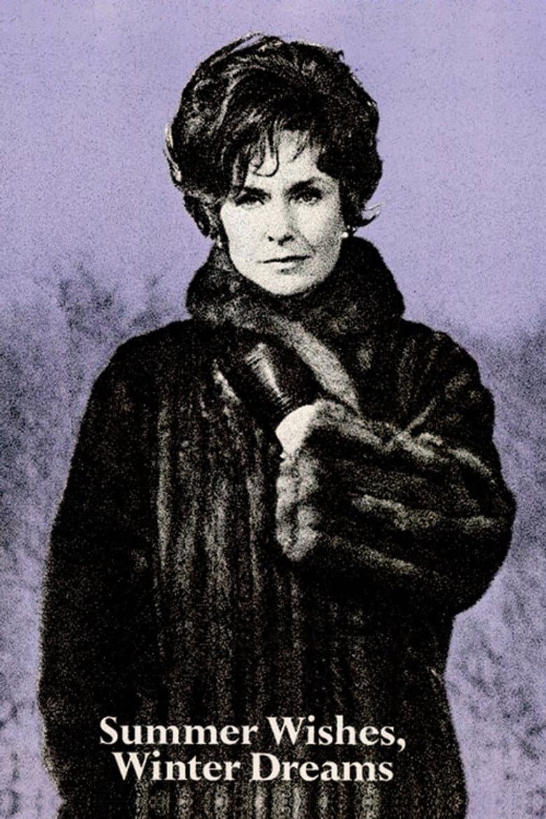 Summer Wishes, Winter Dreams poster