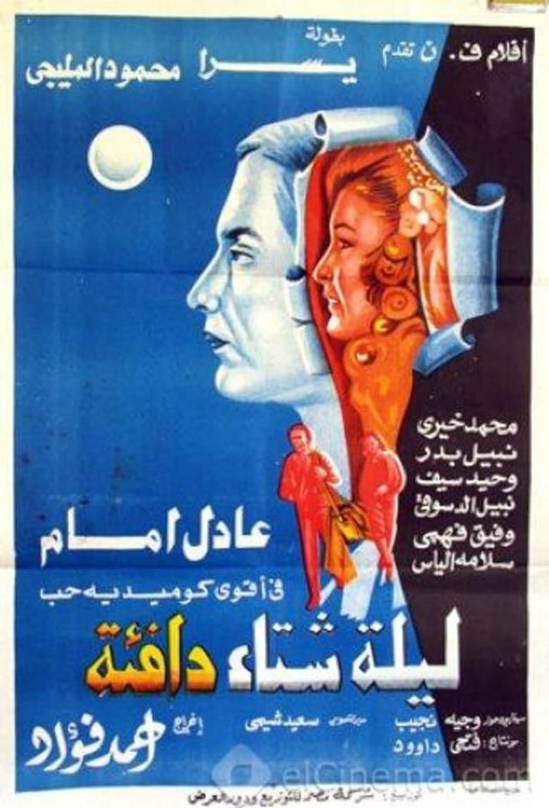 A Warm Winter Night poster