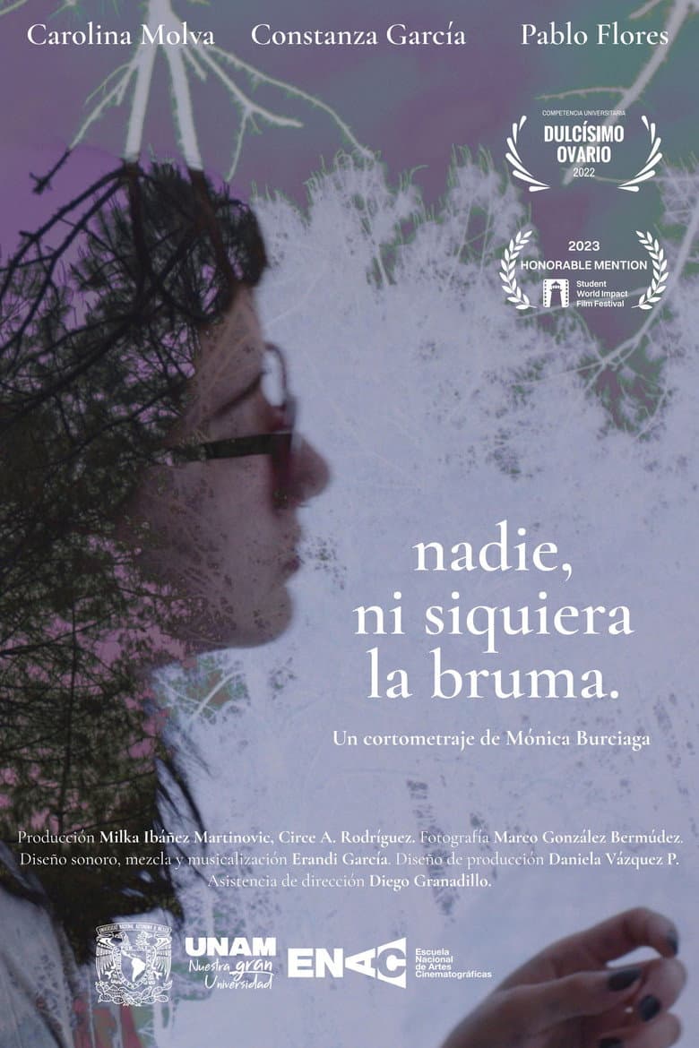 Nobody, Not Even the Mist poster